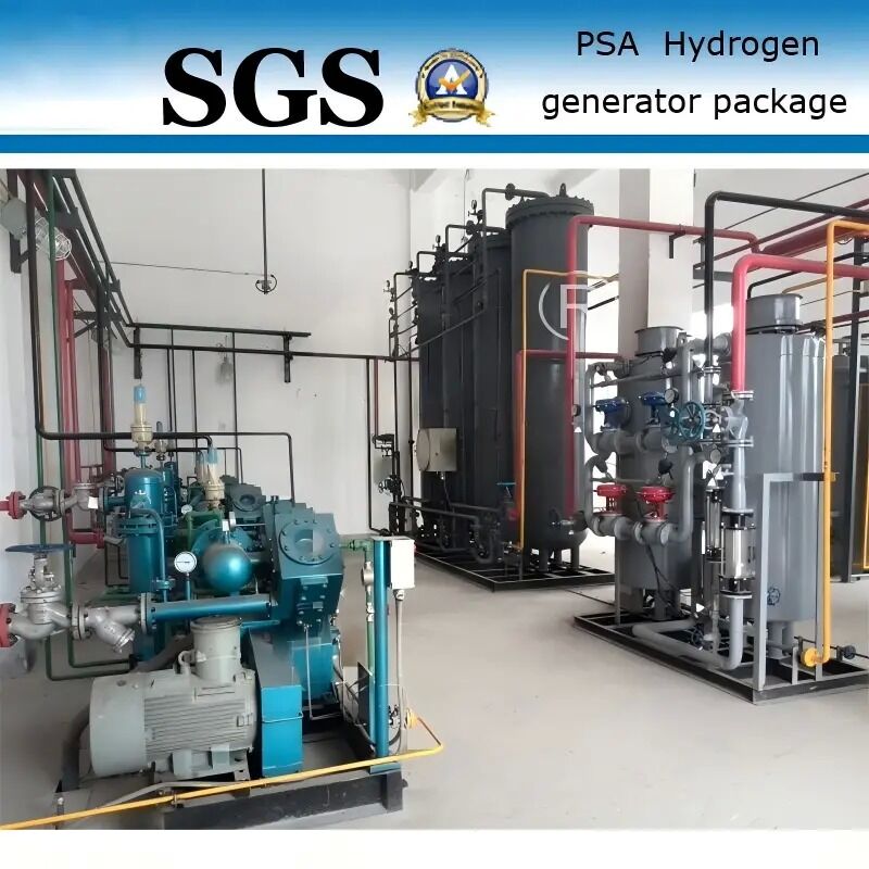 Générateur d'hydrogène PSA de 1 KW avec une pureté de 99,99 % pour les applications de l'industrie de l'acier inoxydable