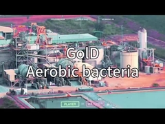 GÉNÉRATEUR D'OXYGÈNE VSA VPSA